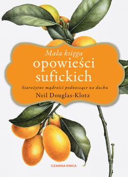 Mała księga opowieści sufickich - ebook - Neil Douglas-Klotz