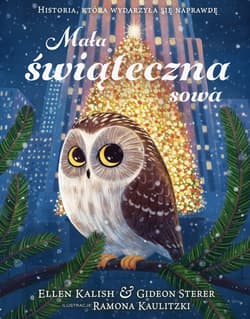 Mała świąteczna sowa. Historia, która wydarzyła się naprawdę - Ellen Kalish, Gideon Sterer, Kaulitzki Ramona