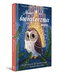 Galeria - zdjęcie nr. 2 - Mała świąteczna sowa. Historia, która wydarzyła się naprawdę