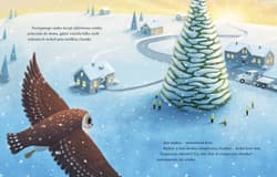 Galeria - zdjęcie nr. 3 - Mała świąteczna sowa. Historia, która wydarzyła się naprawdę
