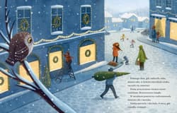 Galeria - zdjęcie nr. 2 - Mała świąteczna sowa. Historia, która wydarzyła się naprawdę