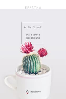 Mała szkoła przebaczania - Piotr Śliżewski