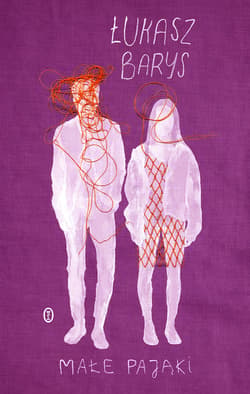 Małe pająki - ebook - Łukasz Barys