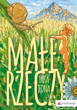 Małe rzeczy - Jedna Taka