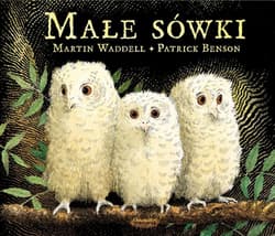 Małe sówki - Martin Waddell