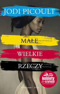 Małe wielkie rzeczy - ebook - Jodi Picoult