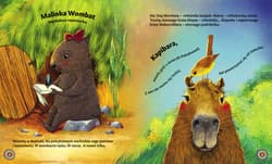 Galeria - zdjęcie nr. 2 - Malinka Wombat i Kapibara