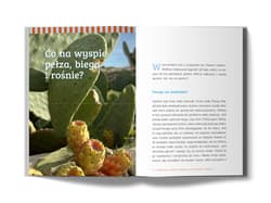 Galeria - zdjęcie nr. 2 - Malta. Rajska wyspa Europy. Kraina kołatek, luzzu i wykuszy