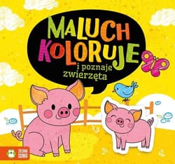 Maluch koloruje i poznaje zwierzęta - Opracowanie Zbiorowe