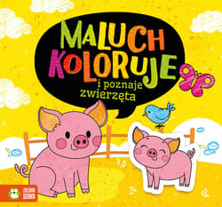 Maluch koloruje i poznaje zwierzęta - Opracowanie Zbiorowe