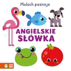 Maluch poznaje Angielskie słówka - Opracowanie Zbiorowe