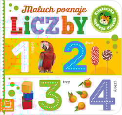 Maluch poznaje liczby. Książeczka mądrego dziecka - Opracowanie Zbiorowe