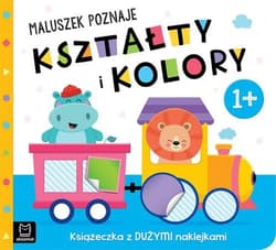 Maluszek poznaje kształty i kolory Książeczka z dużymi naklejkami 1+ - Opracowanie Zbiorowe
