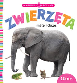 Maluszek poznaje Zwierzęta małe i duże - Opracowanie Zbiorowe