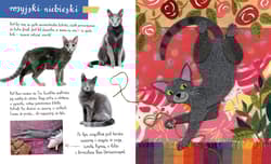 Galeria - zdjęcie nr. 2 - Mały atlas kotów i kociaków