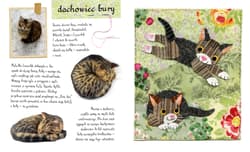 Galeria - zdjęcie nr. 3 - Mały atlas kotów i kociaków