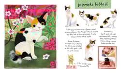 Galeria - zdjęcie nr. 4 - Mały atlas kotów i kociaków