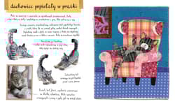 Galeria - zdjęcie nr. 5 - Mały atlas kotów i kociaków