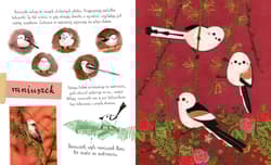 Galeria - zdjęcie nr. 2 - Mały atlas ptaków Ewy i Pawła Pawlaków