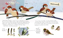 Galeria - zdjęcie nr. 3 - Mały atlas ptaków Ewy i Pawła Pawlaków