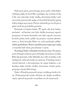 Galeria - zdjęcie nr. 2 - Mały domek w Wielkich Lasach