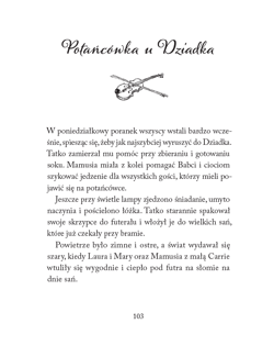 Galeria - zdjęcie nr. 2 - Mały domek w Wielkich Lasach