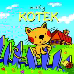 Mały kotek