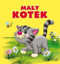 Mały kotek