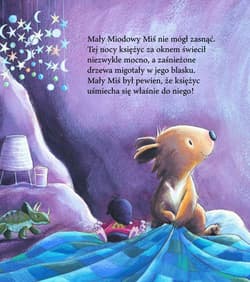 Galeria - zdjęcie nr. 4 - Mały Miodowy Miś