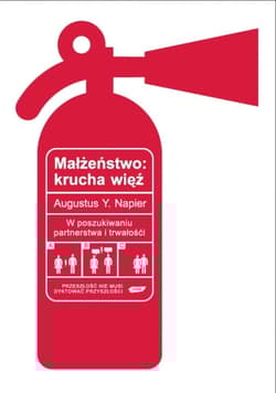Małżeństwo: krucha więź. W poszukiwaniu partnerstwa i trwałości - Augustus Y. Napier