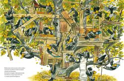 Galeria - zdjęcie nr. 3 - Mama Mu buduje