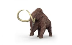 Mamut