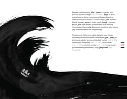 Galeria - zdjęcie nr. 3 - Man zou Chiny dla dociekliwych