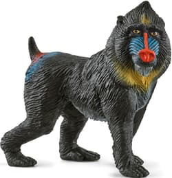 Mandryl