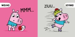 Galeria - zdjęcie nr. 2 - Maniek porównuje. Maniek