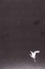 Manowce - Tomasz Berrached