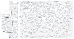 Mapa świata. Dinozaury. Kolorowanka XL - Praca zbiorowa