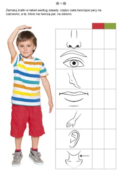 Galeria - zdjęcie nr. 4 - Matematyka część 1 karty pracy dla uczniów z niepełnosprawnością intelektualną