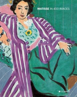 Matisse in 400 Images - Waseige Julie