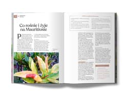 Galeria - zdjęcie nr. 4 - Mauritius i Seszele