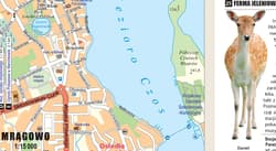 Galeria - zdjęcie nr. 3 - Mazury i Warmia map&guide XL PL laminat 2023