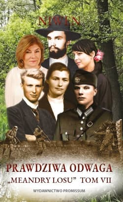 Meandry losu Tom 7 Prawdziwa odwaga - Niwen