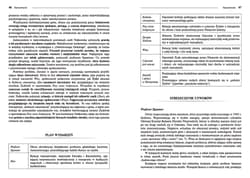 Galeria - zdjęcie nr. 3 - Medaliony z opracowaniem