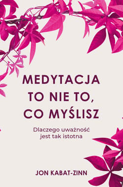 Medytacja to nie to, co myślisz - ebook