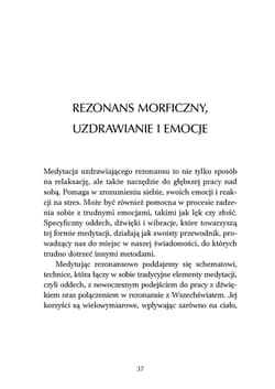 Galeria - zdjęcie nr. 4 - Medytacja uzdrawiającego rezonansu. Prosta metoda Tune&Heal na głęboki relaks, harmonizację układu nerwowego i duchową transformację do 5D