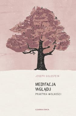 Medytacja wglądu - ebook