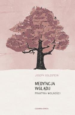 Medytacja wglądu Praktyka wolności - Joseph Goldstein