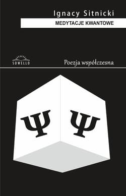 Medytacje kwantowe - Ignacy Sitnicki