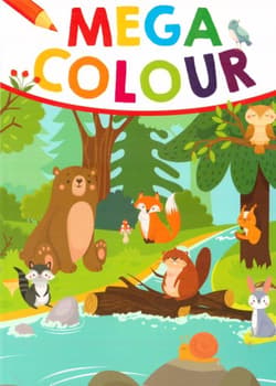 Mega Colour - Praca zbiorowa