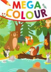 Mega Colour - Praca zbiorowa